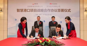 日照企業創奇跡 90天吞吐億噸，信息服務助力利潤突破4億