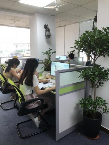 如何做好信息技術咨詢服務？踐行七點核心，真正賦能客戶